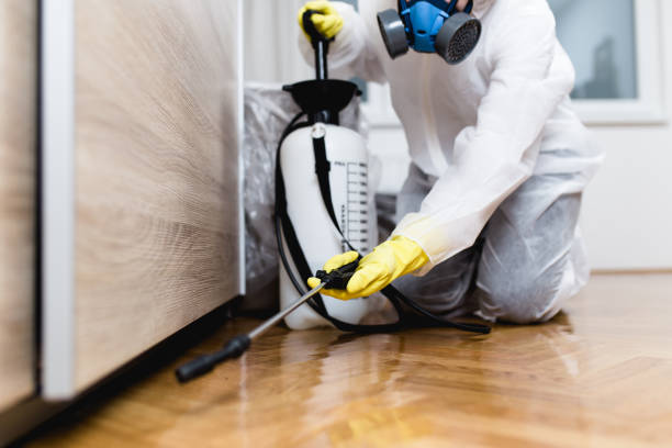Best Mosquito Control Services  in Hartford, CT